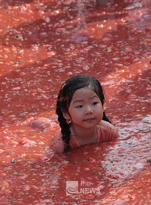 "금반지를 찾는 것은 힘들어,..." 토마토 바다에서 수영을 즐기고 있는 어린이 <사진 김재봉 기자>