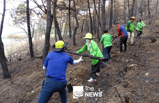 민주평화당 자원봉사위원회는 강릉 옥계 산불현장을 찾아 불에탄 목재를 운반 정리했다.