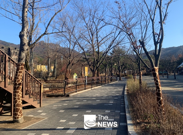 서울대공원은 코로나19 장기화로 지쳐있는 시민들을 위로하기 위해 동물무늬의 나무옷을 입혀 관람에 즐거움을 더했다 <사진 서울대공원>