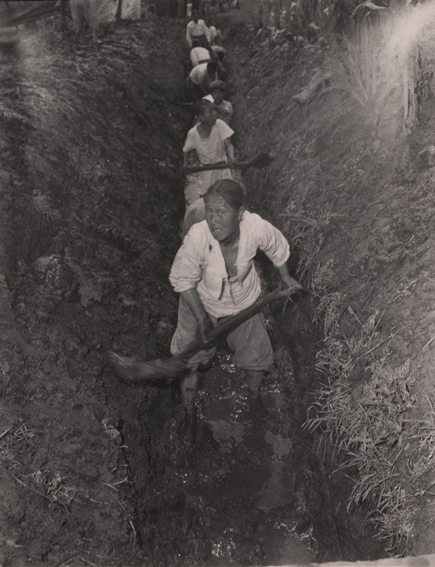 1953년 6월 13일, 유엔민간원조사령부에 고용된 한국인 노동자, 용산 효창동 배수로 공사 모습 <사진 서울시>