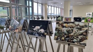 (주)대성음반 이미지